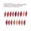 KIT DE MAQUILLAJE PARA LABIOS MATTE REVOLUTION
