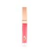 SALÓN DE LA FAMA DE LIP LUSTRE